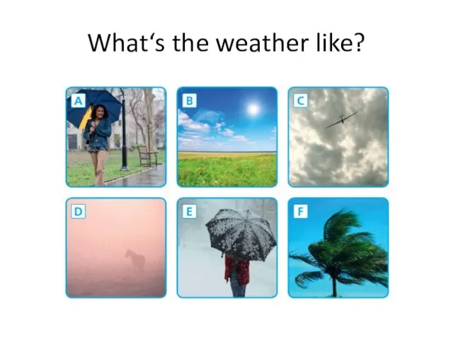 What‘s the weather like?