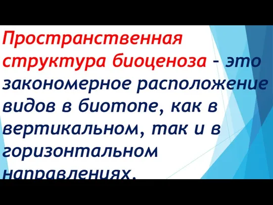 Пространственная структура биоценоза – это закономерное расположение видов в биотопе,