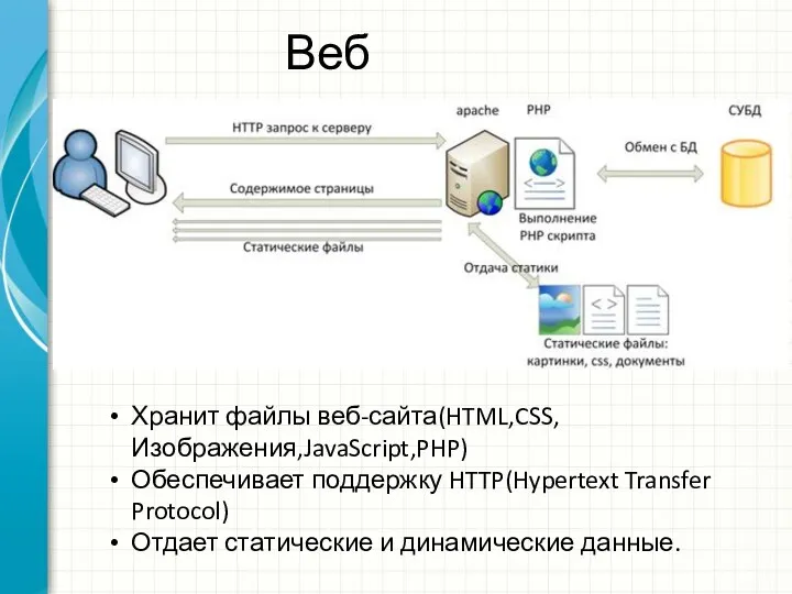 Веб сервер Хранит файлы веб-сайта(HTML,CSS,Изображения,JavaScript,PHP) Обеспечивает поддержку HTTP(Hypertext Transfer Protocol) Отдает статические и динамические данные.