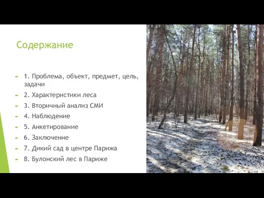 Содержание 1. Проблема, объект, предмет, цель, задачи 2. Характеристики леса