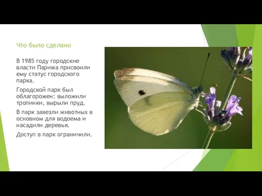 Что было сделано В 1985 году городские власти Парижа присвоили