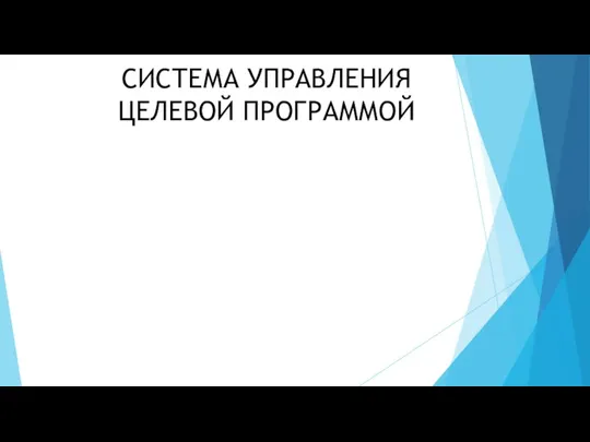 СИСТЕМА УПРАВЛЕНИЯ ЦЕЛЕВОЙ ПРОГРАММОЙ