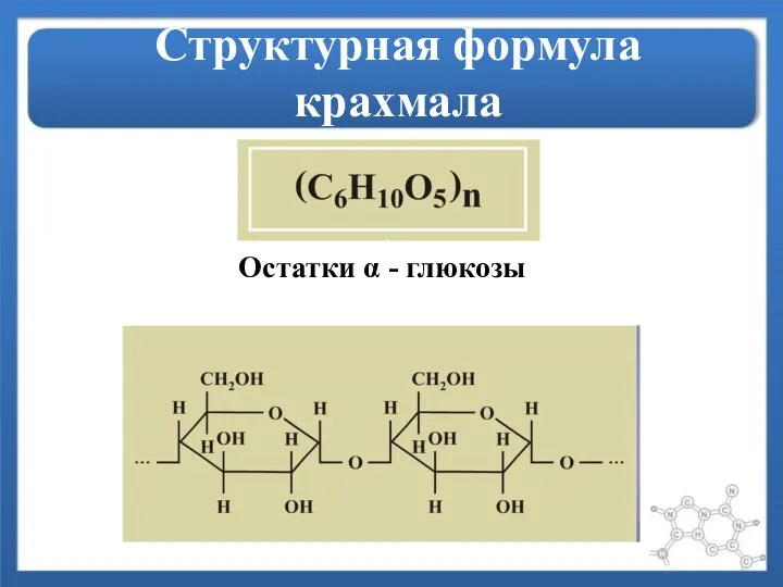 Структурная формула крахмала Остатки α - глюкозы