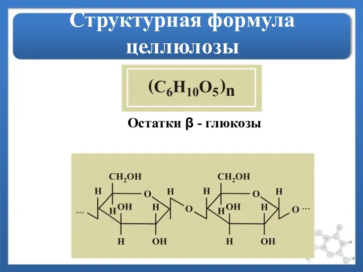 Структурная формула целлюлозы Остатки β - глюкозы