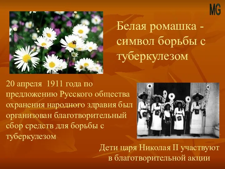 MG Белая ромашка - символ борьбы с туберкулезом 20 апреля 1911 года по