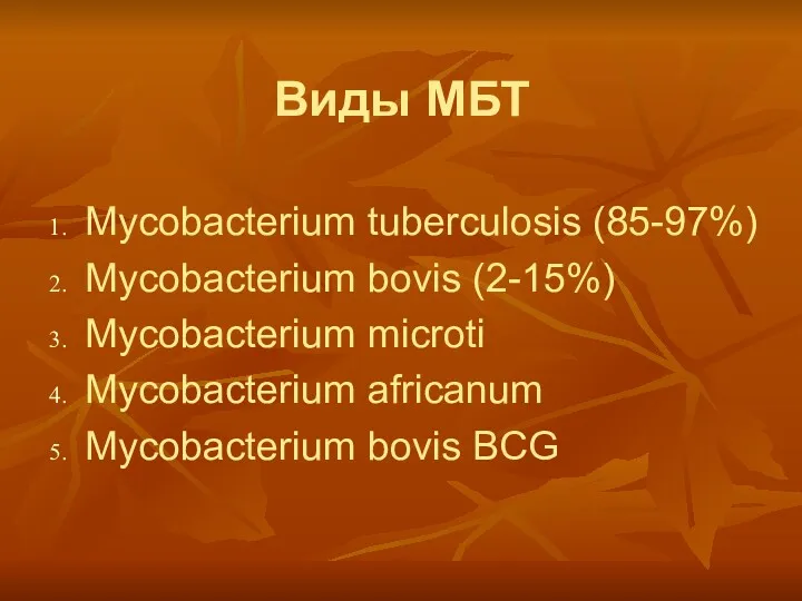 Виды МБТ Мycobacterium tuberculosis (85-97%) Мycobacterium bovis (2-15%) Мycobacterium microti Мycobacterium africanum Мycobacterium bovis BCG