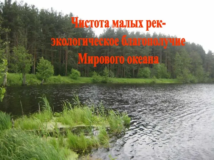 Чистота малых рек – экологическое благополучие Мирового океана