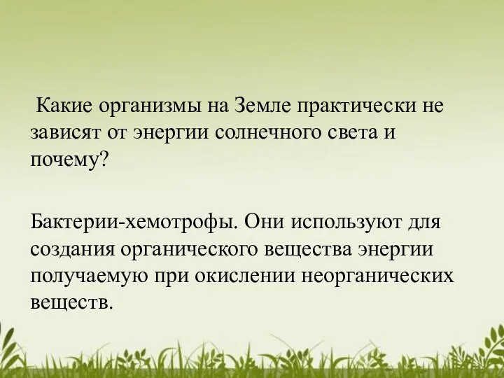 Какие организмы на Земле практически не зависят от энергии солнечного