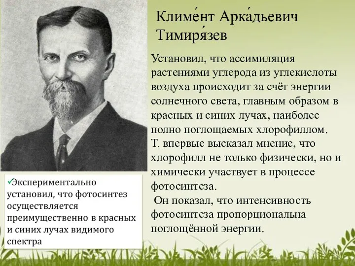 Климе́нт Арка́дьевич Тимиря́зев Установил, что ассимиляция растениями углерода из углекислоты