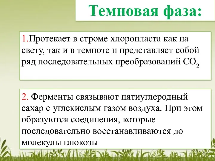 1.Протекает в строме хлоропласта как на свету, так и в