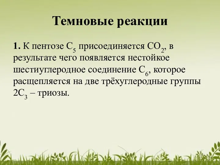 Темновые реакции 1. К пентозе С5 присоединяется СО2, в результате