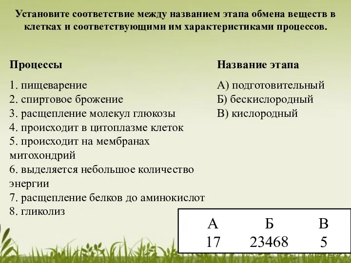 Установите соответствие между названием этапа обмена веществ в клетках и соответствующими им характеристиками процессов.