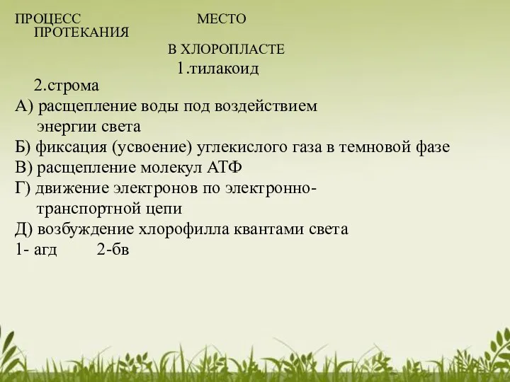 ПРОЦЕСС МЕСТО ПРОТЕКАНИЯ В ХЛОРОПЛАСТЕ 1.тилакоид 2.строма А) расщепление воды