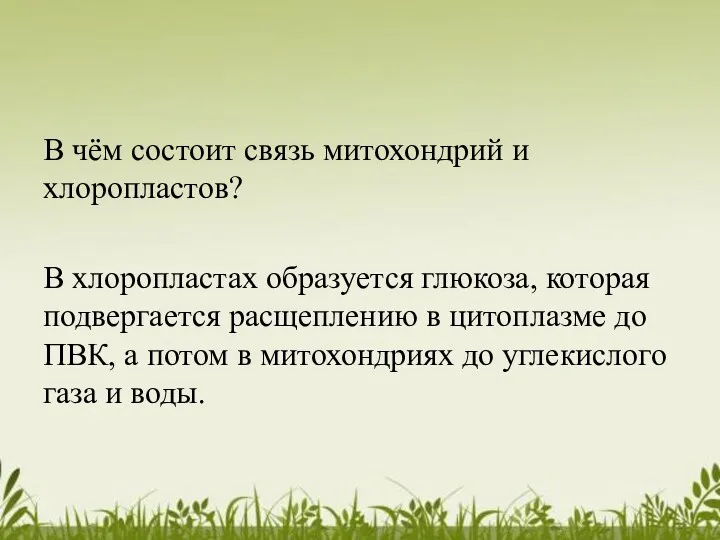 В чём состоит связь митохондрий и хлоропластов? В хлоропластах образуется