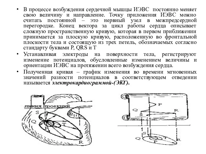 В процессе возбуждения сердечной мышцы ИЭВС постоянно меняет свою величину