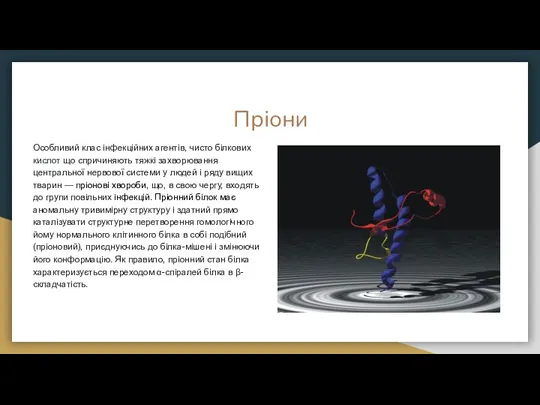 Пріони Особливий клас інфекційних агентів, чисто білкових кислот що спричиняють