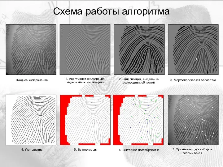 Схема работы алгоритма