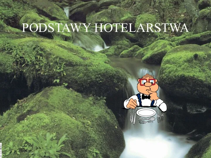 PODSTAWY HOTELARSTWA