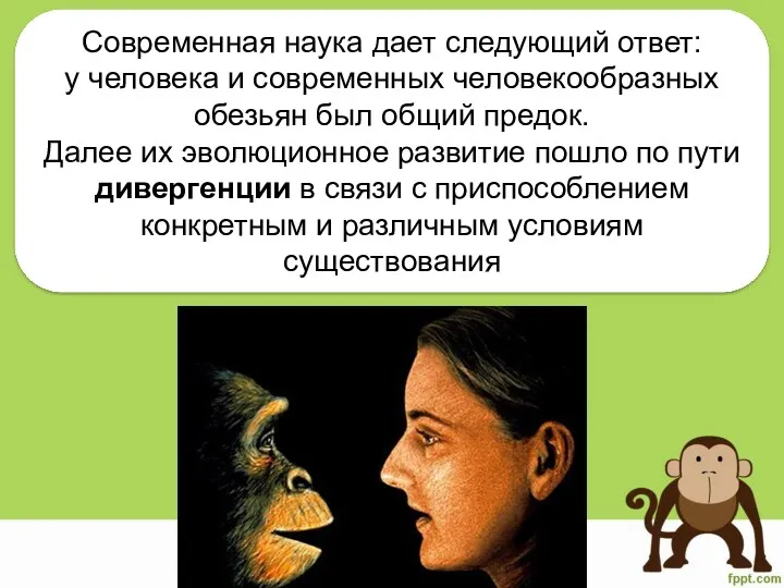 Современная наука дает следующий ответ: у человека и современных человекообразных обезьян был общий