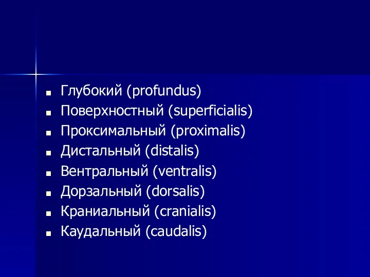 Глубокий (profundus) Поверхностный (superficialis) Проксимальный (proximalis) Дистальный (distalis) Вентральный (ventralis) Дорзальный (dorsalis) Краниальный (cranialis) Каудальный (caudalis)