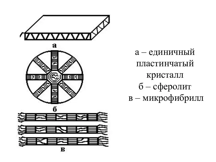 а – единичный пластинчатый кристалл б – сферолит в – микрофибрилл