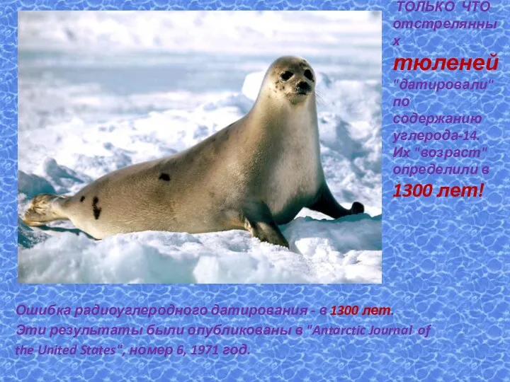 ТОЛЬКО ЧТО отстрелянных тюленей "датировали" по содержанию углерода-14. Их "возраст"