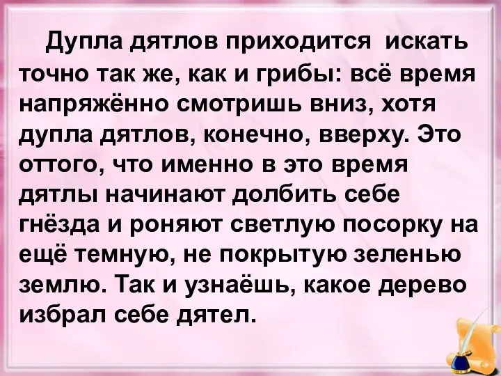 Дупла дятлов приходится искать точно так же, как и грибы: