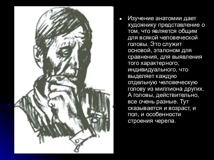 Изучение анатомии дает художнику представление о том, что является общим