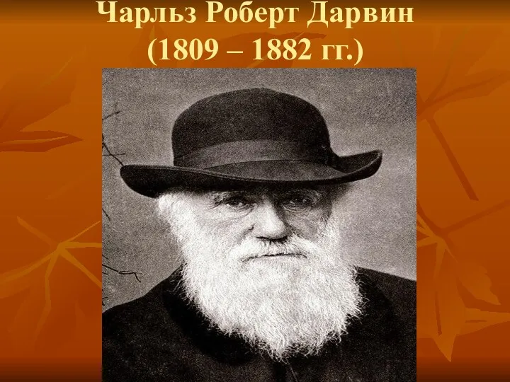 Чарльз Роберт Дарвин (1809 – 1882 гг.)