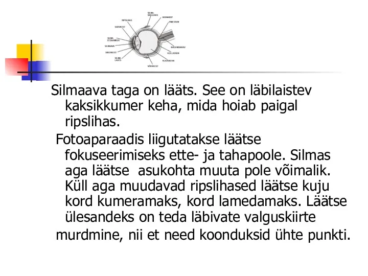 Silmaava taga on lääts. See on läbilaistev kaksikkumer keha, mida