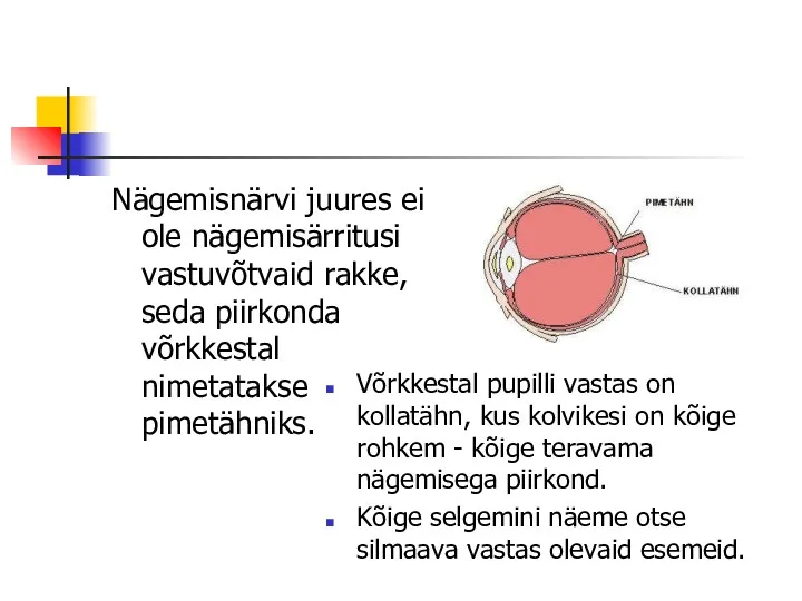 Nägemisnärvi juures ei ole nägemisärritusi vastuvõtvaid rakke, seda piirkonda võrkkestal