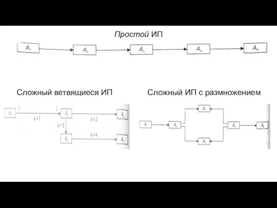 Простой ИП Сложный ветвящиеся ИП Сложный ИП с размножением