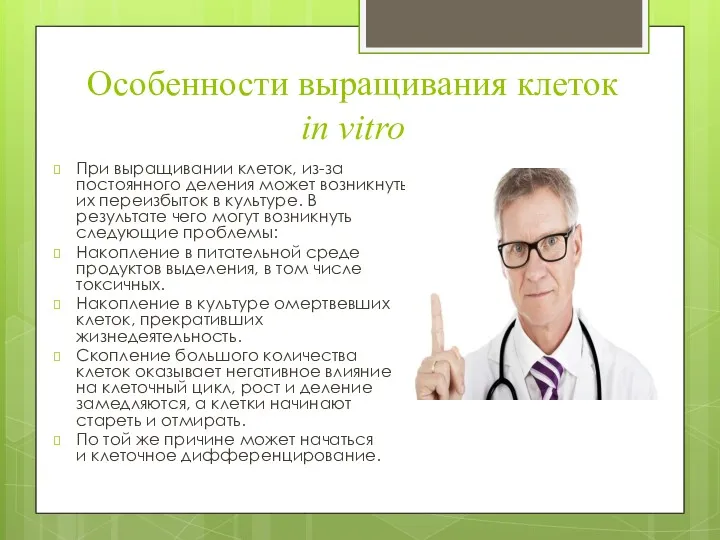 Особенности выращивания клеток in vitro При выращивании клеток, из-за постоянного