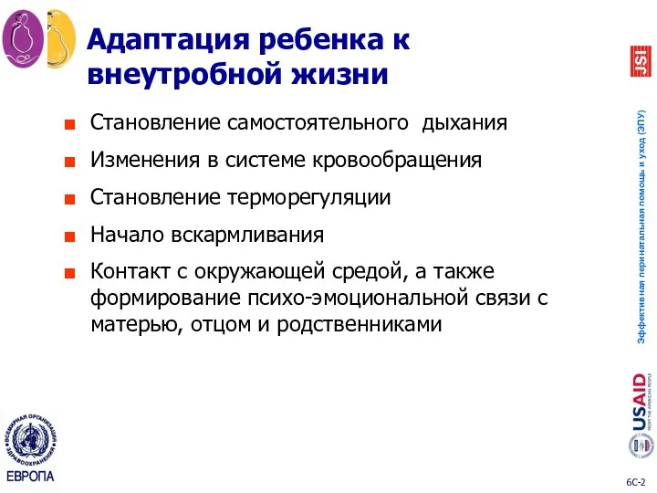 Становление самостоятельного дыхания Изменения в системе кровообращения Становление терморегуляции Начало