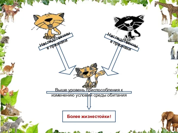 Наследственные признаки Наследственные признаки Выше уровень приспособления к изменению условий среды обитания Более жизнестойки!