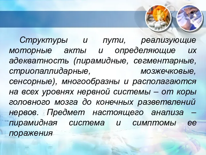 Структуры и пути, реализующие моторные акты и определяющие их адекватность