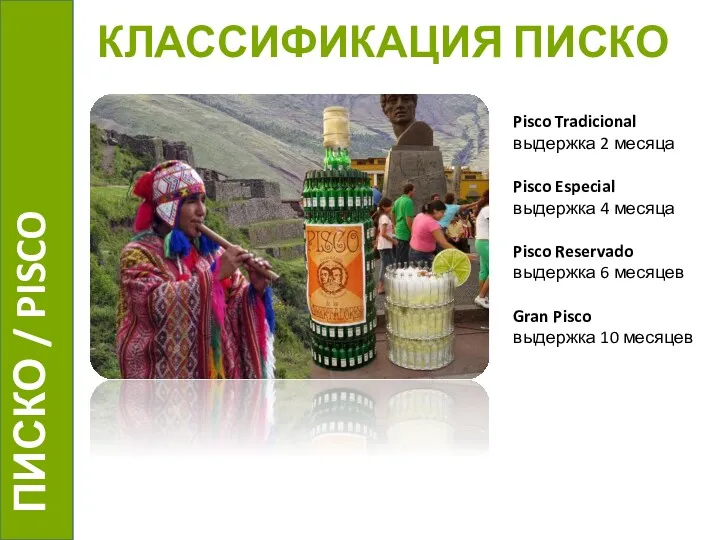 КЛАССИФИКАЦИЯ ПИСКО Pisco Tradicional выдержка 2 месяца Pisco Especial выдержка