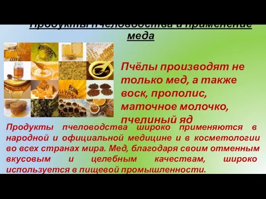 Продукты пчеловодства и применение меда Пчёлы производят не только мед,