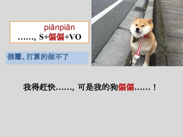 我得赶快……，可是我的狗偏偏……！ piānpiān ……，S+偏偏+VO 倒霉、打算的做不了