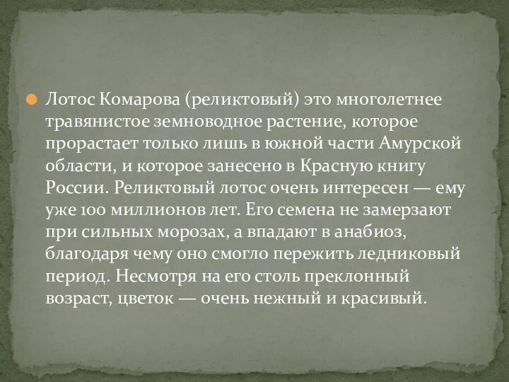 Лотос Комарова (реликтовый) это многолетнее травянистое земноводное растение, которое прорастает