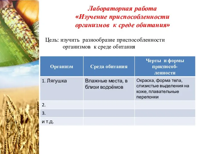 Лабораторная работа «Изучение приспособленности организмов к среде обитания» Цель: изучить разнообразие приспособленности организмов к среде обитания