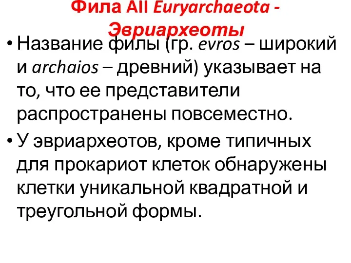 Фила AII Euryarchaeota - Эвриархеоты Название филы (гр. evros –
