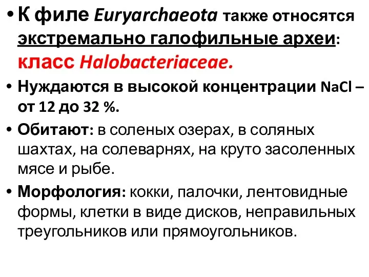 К филе Euryarchaeota также относятся экстремально галофильные археи: класс Halobacteriaceae.