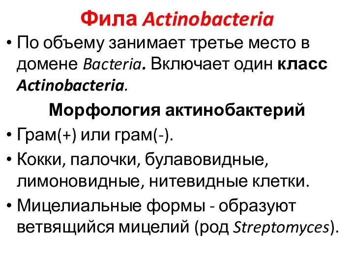 Фила Actinobacteria По объему занимает третье место в домене Bacteria.