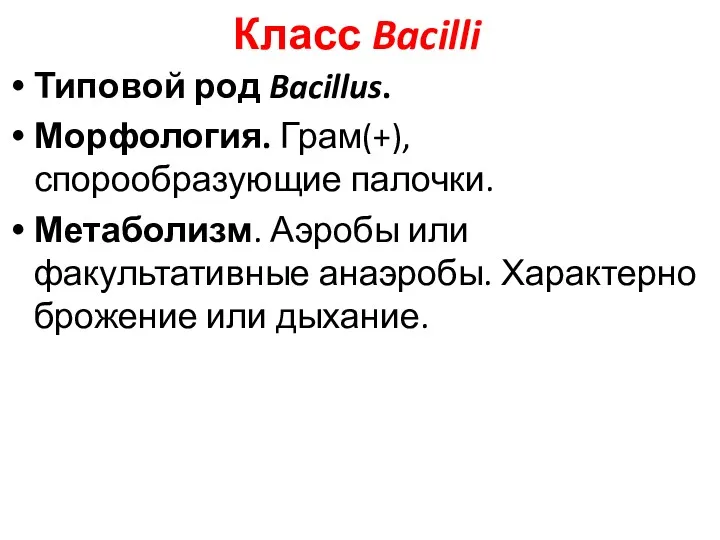 Класс Bacilli Типовой род Bacillus. Морфология. Грам(+), спорообразующие палочки. Метаболизм.