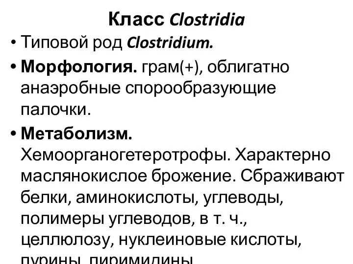 Класс Clostridia Типовой род Clostridium. Морфология. грам(+), облигатно анаэробные спорообразующие