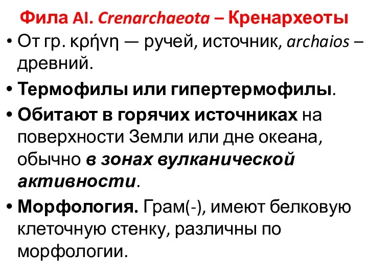 Фила AI. Crenarchaeota – Кренархеоты От гр. κρήνη — ручей,