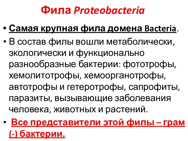 Фила Proteobacteria Самая крупная фила домена Bacteria. В состав филы