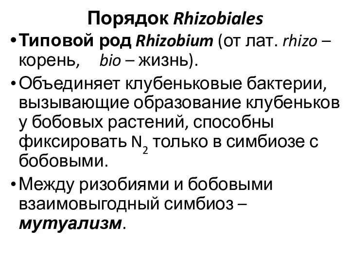 Порядок Rhizobiales Типовой род Rhizobium (от лат. rhizo –корень, bio