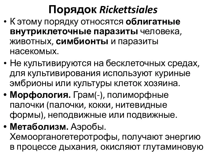 Порядок Rickettsiales К этому порядку относятся облигатные внутриклеточные паразиты человека,